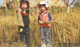 阿婆爆料秋天妈妈视频,秋天妈妈视频背后的温馨故事